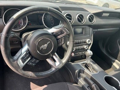 2021 Ford Mustang EcoBoost